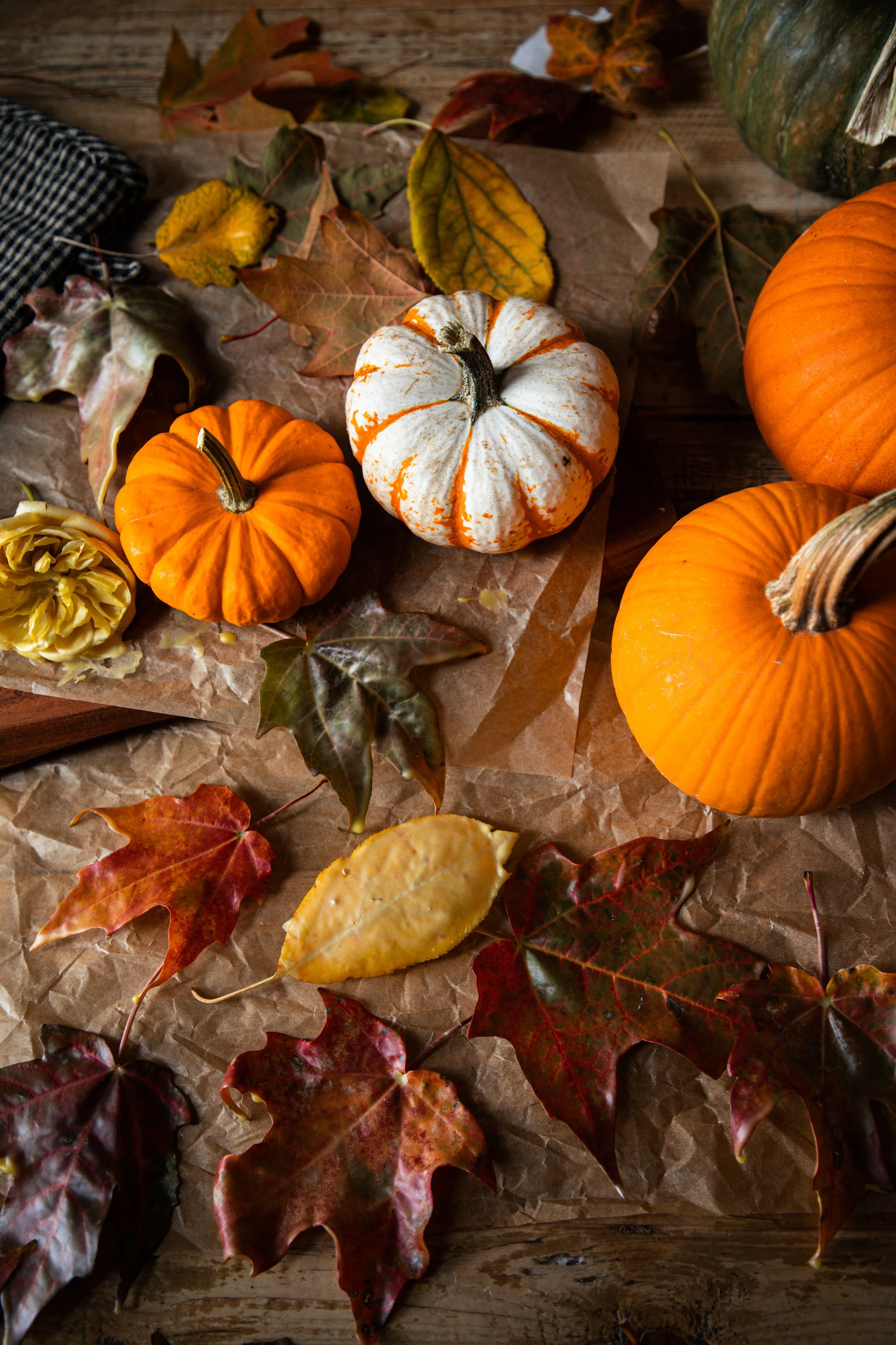 How to Preserve Autumn Leaves in Beeswax — Under A Tin Roof